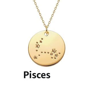 Pisces Zodiac Sign Disc Constellation Necklace